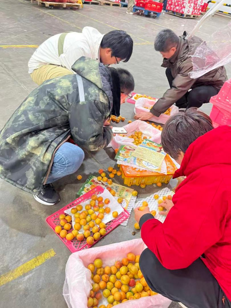 图片2